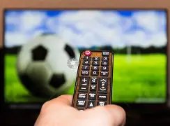 江苏男子手,球队再创佳,全国锦标赛,谈球吧官网,谈球吧官网在线娱乐平台