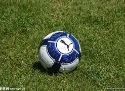 华娱公司注,华华子,商标,谈球吧官网,谈球吧官网在线娱乐平台