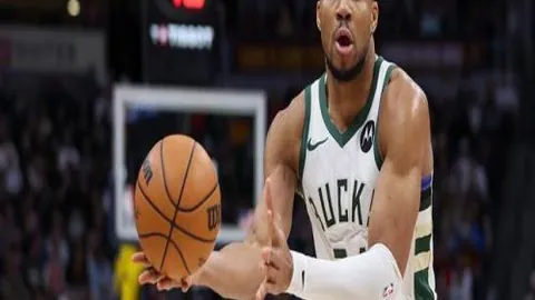 谈球吧 产品 094611 p8z